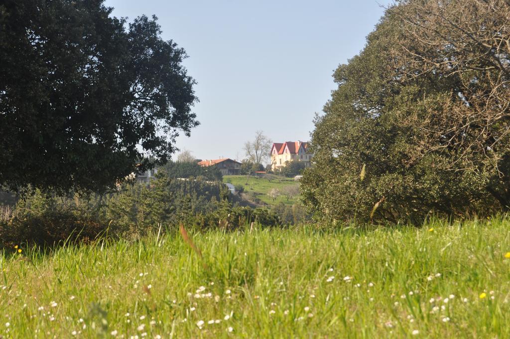 Apikale Guest House Ea ภายนอก รูปภาพ